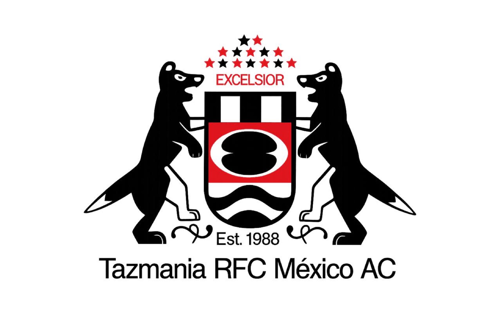 Sitio Web y App de Gestión para Club de Rugby